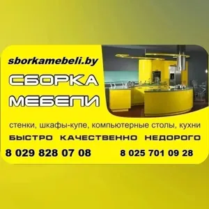 Сборка мебели.