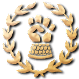 Денис Рогач